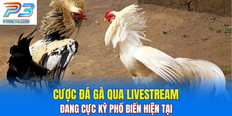 Đá Gà Thomo – Cách Chơi Cực Kỳ Hay Cho Người Mê Đá Gà 3 Hình thức xem và cá cược đá gà qua livestream đang trở nên cực kỳ phổ biến hiện nay