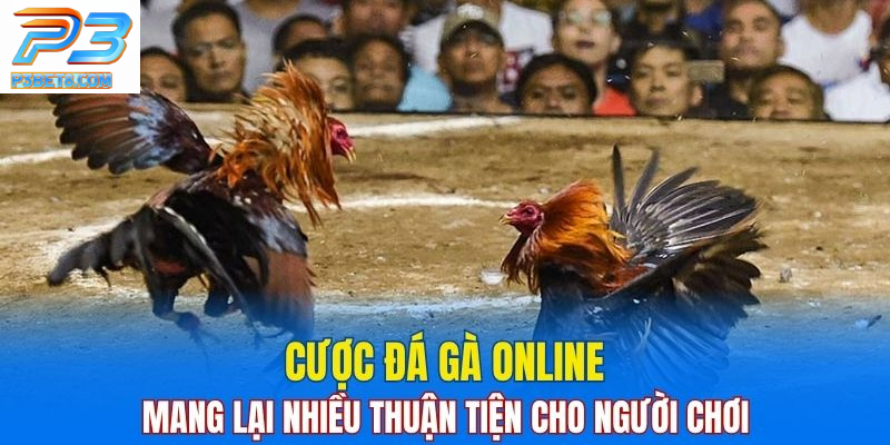 Đá Gà Campuchia Tại P3BET - Khám Phá Bí Quyết Thắng Lớn 4 Cược đá gà online mang lại nhiều tiện lợi cho người chơi.