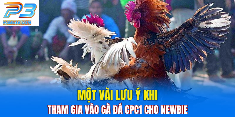 Đá Gà CPC1: Điểm Đến Hấp Dẫn Cho Tín Đồ Gà Chọi 4 Lời khuyên cho người mới bắt đầu tham gia đá gà CPC1